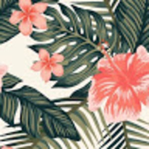 Meet your Posher, Ally